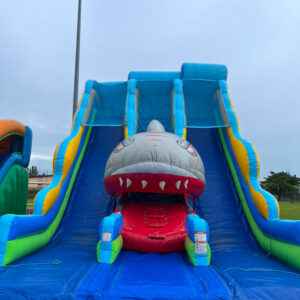 TOBOGGAN REQUIN